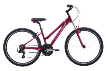 malvern star radmax