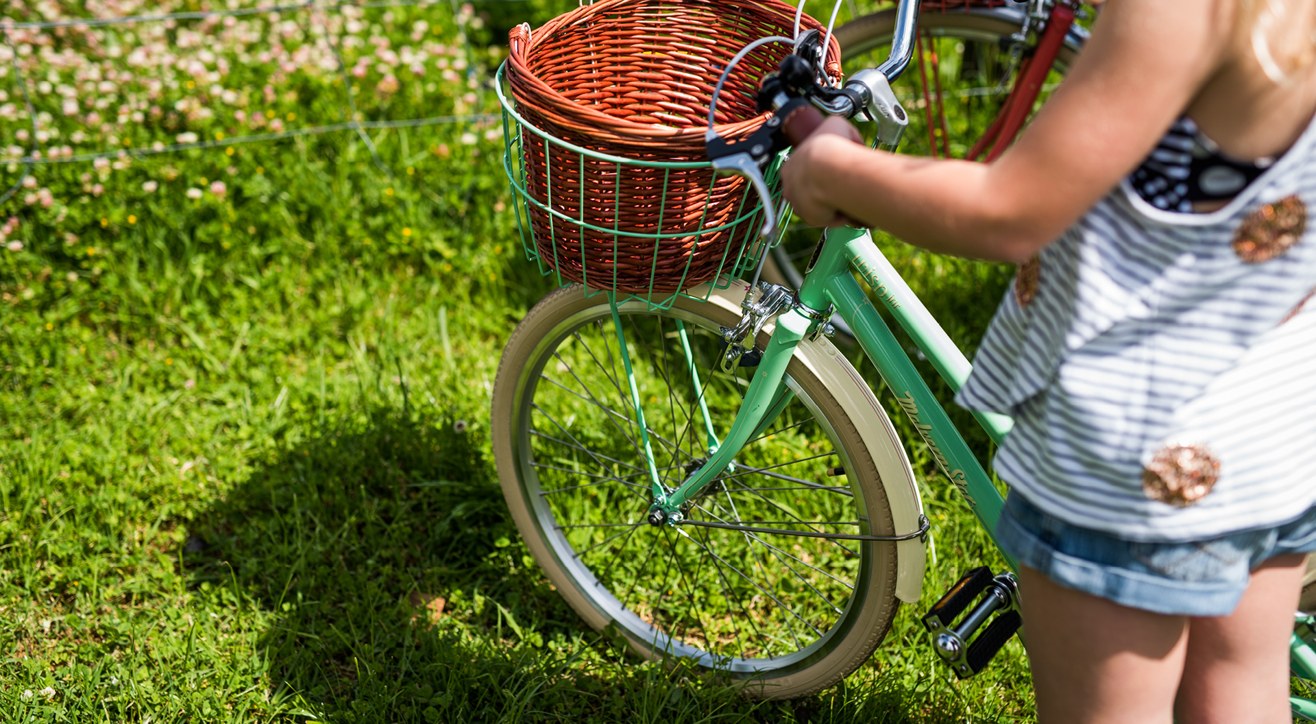 ladies push bike with basket