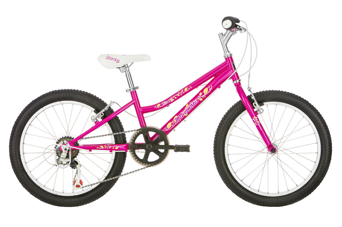 malvern star radmax 20