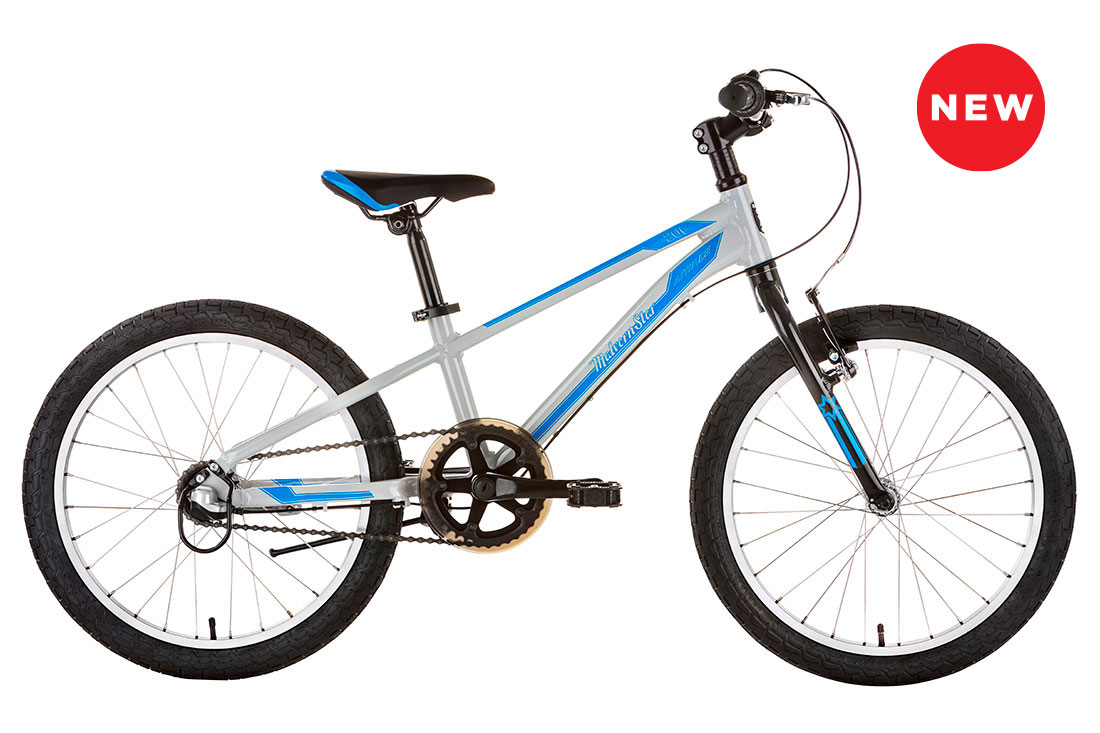 malvern star 20 inch